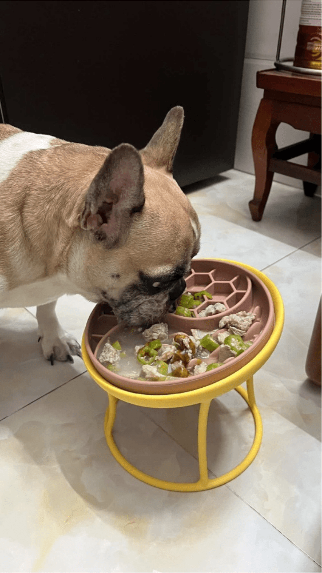 Elevated Dog & Cat Feeder Model image 3